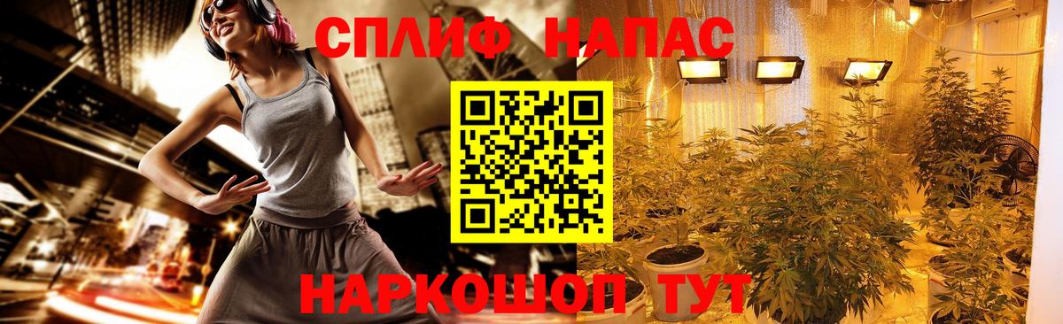 Конопля ГИДРОПОН  Конопля Amnesia  Канабис Bruce Banner  Вход с VPN  Мытищи 